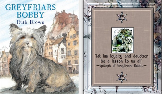 skye terrier charakterystyka i pielęgnacja