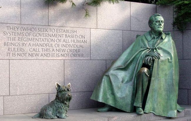 terier szkocki charakterystyka i pielęgnacja 