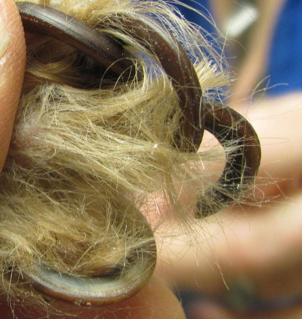 obcinanie pazurów u psa