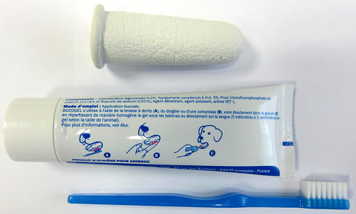 Pielęgnacja zębów