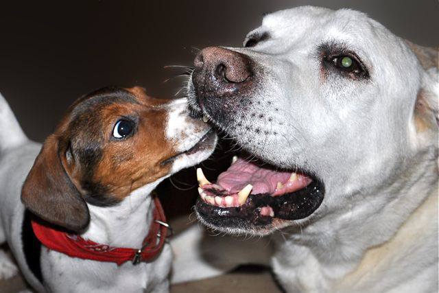 Pielęgnacja zębów