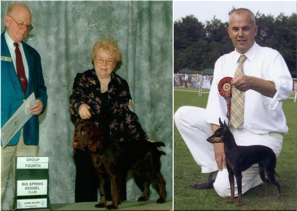 wystawa psów ekwipunek