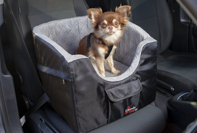 pasy samochodowe dla psa