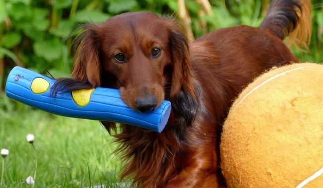 rozgrzewka przed treningiem