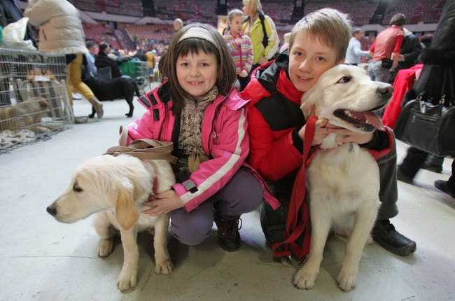 wystawa psów ekwipunek