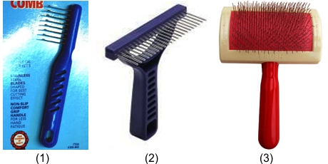 problemy z psią sierścią