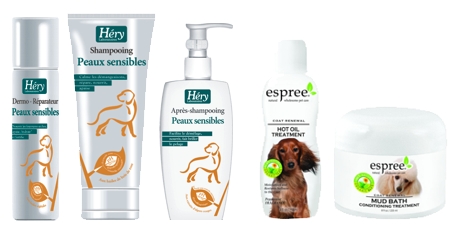 problemy z psią sierścią