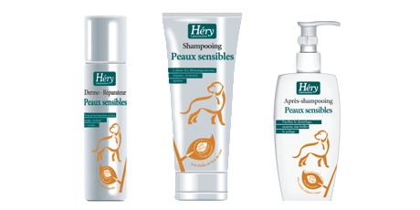 problemy z psią sierścią