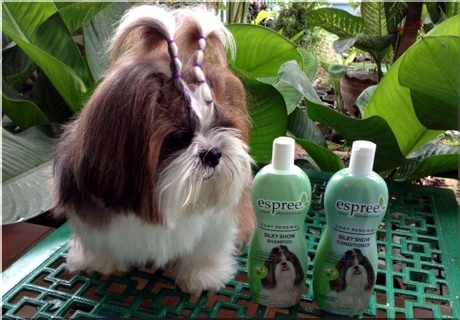 Dobór ksmetyków do rodzaju sierści