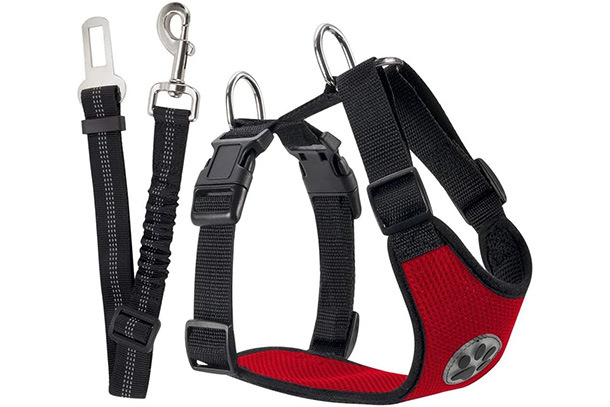 pasy samochodowe dla psa