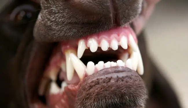 Pielęgnacja zębów