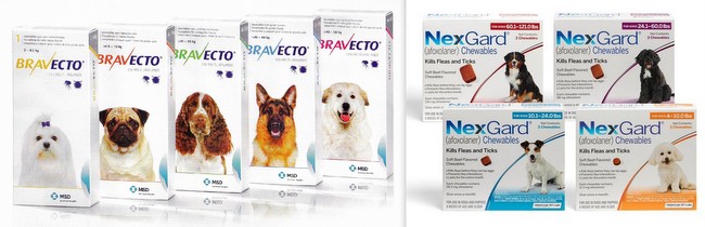 tabletki przeciw kleszczom