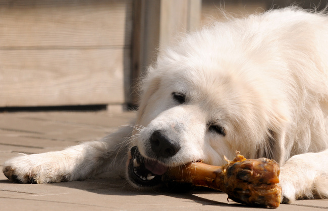 Pielęgnacja zębów